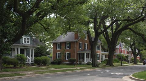 Suburban neighborhood.
